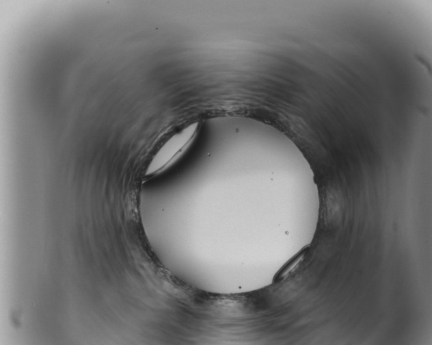X0000100210236200806201452