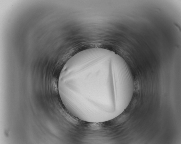 X0000100210238200806201452