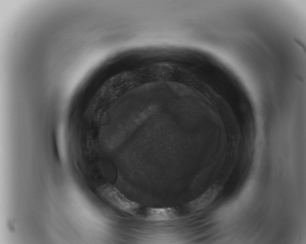 X0000100210239200806201451