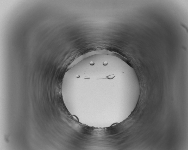 X0000100210240200806201451
