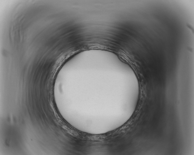 X0000100210241200806201451