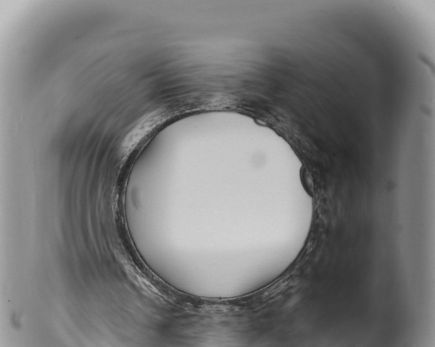X0000100210242200806201451