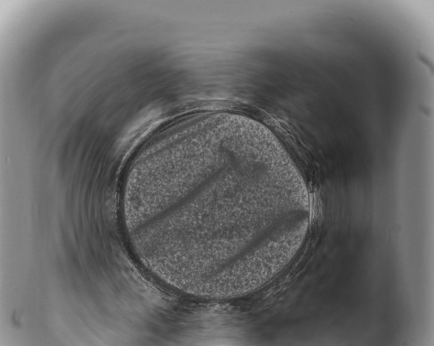 X0000100210243200806201451