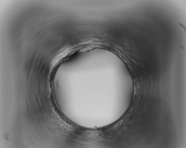 X0000100210245200806201451