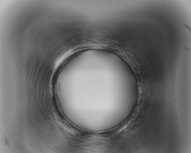 X0000100210246200806201451