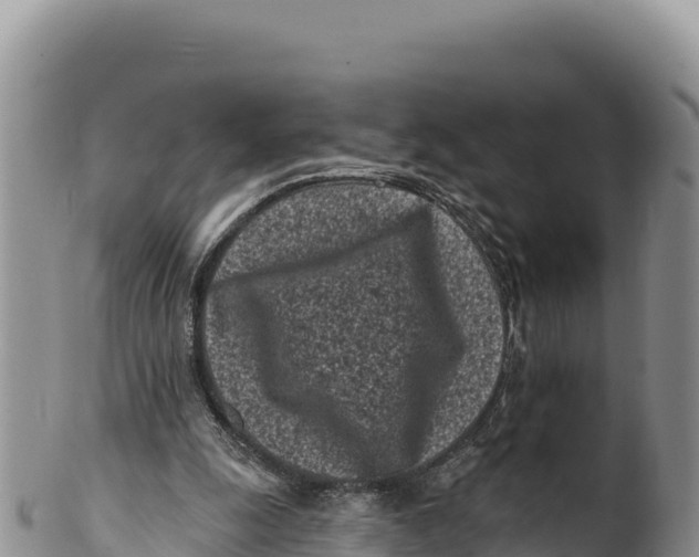 X0000100210247200806201451