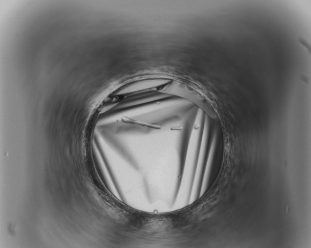 X0000100210248200806201451
