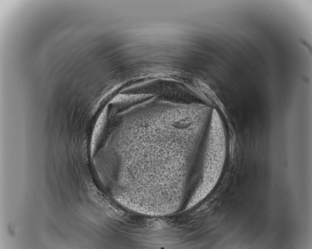 X0000100210249200806201451