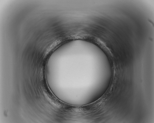 X0000100210250200806201451