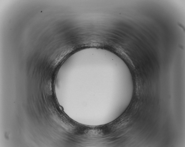 X0000100210251200806201451