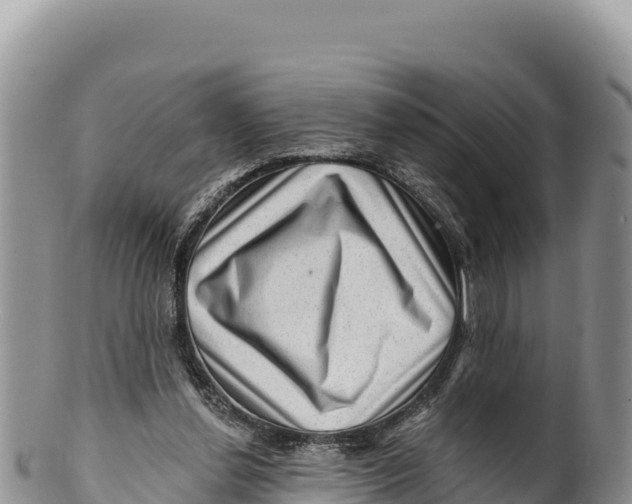 X0000100210252200806201451