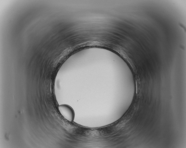 X0000100210253200806201451