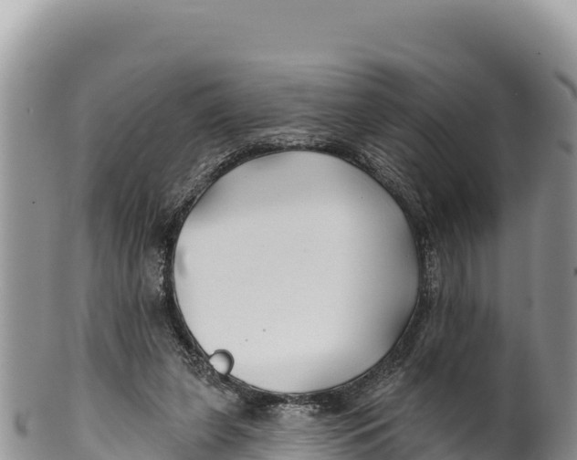 X0000100210255200806201451