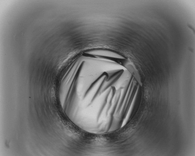 X0000100210256200806201451
