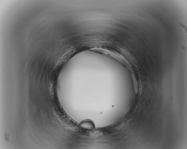 X0000100210258200806201451