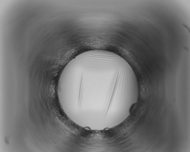 X0000100210259200806201451