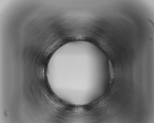 X0000100210262200806201451