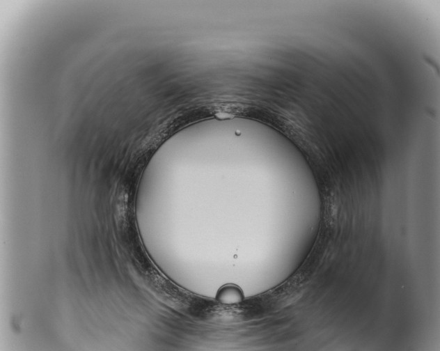 X0000100210263200806201451