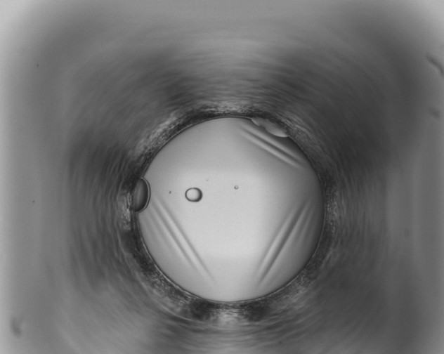 X0000100210264200806201451