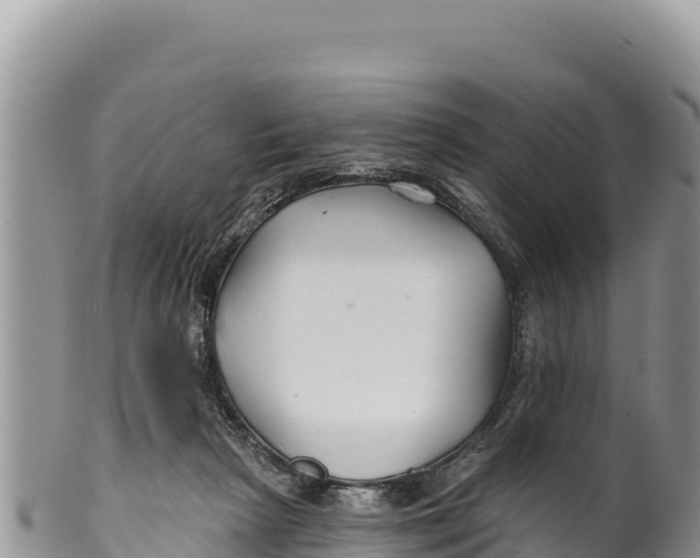 X0000100210265200806201451