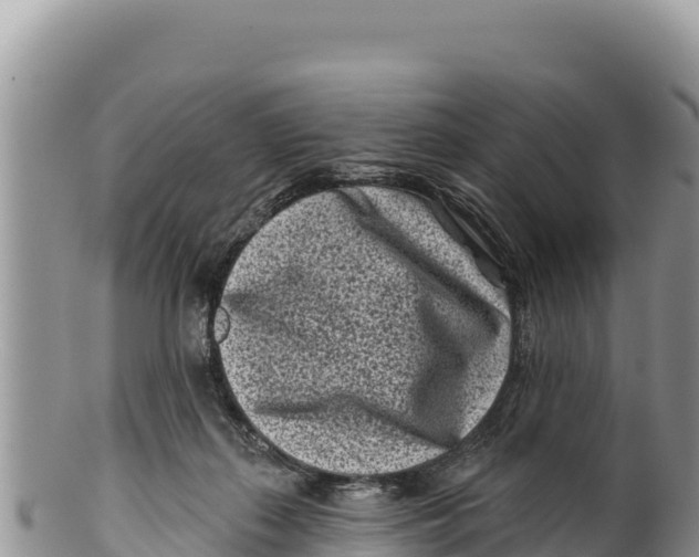 X0000100210267200806201451
