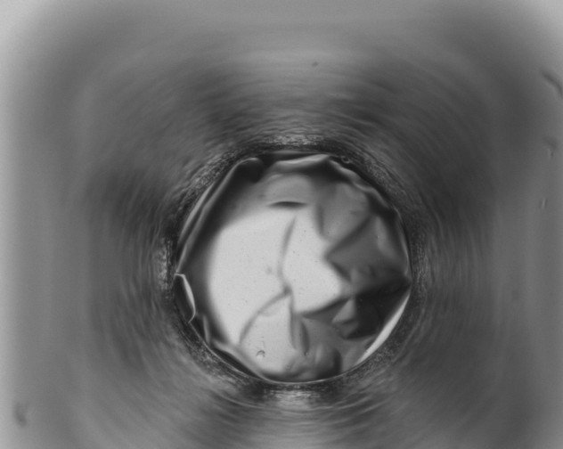 X0000100210268200806201451