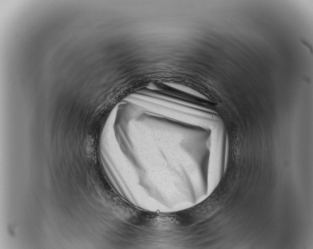 X0000100210270200806201451