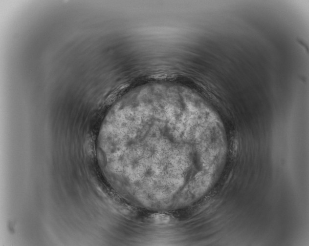X0000100210272200806201451