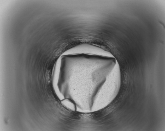X0000100210273200806201451