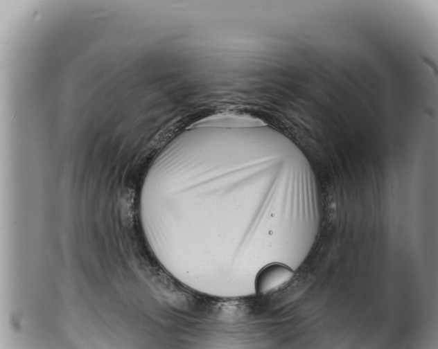 X0000100210275200806201451