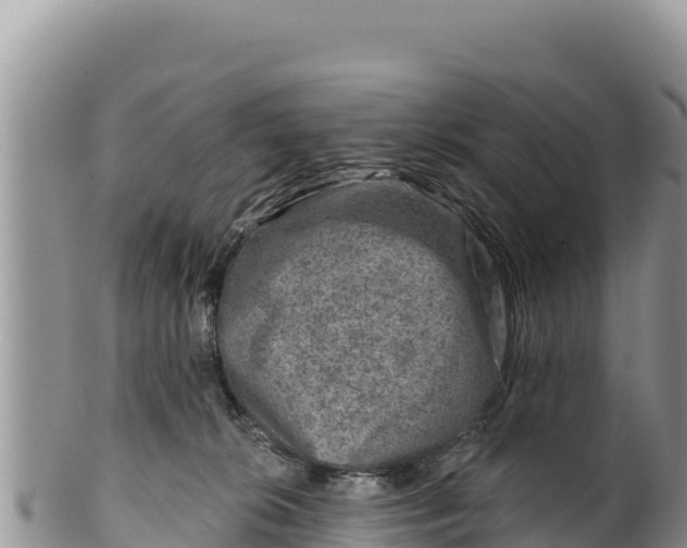 X0000100210276200806201451