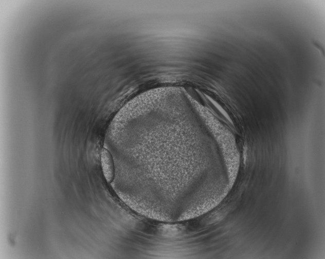 X0000100210277200806201451