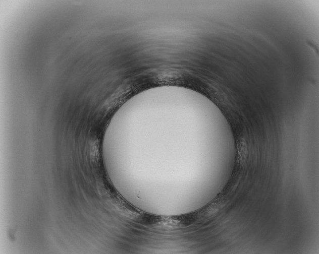 X0000100210278200806201451