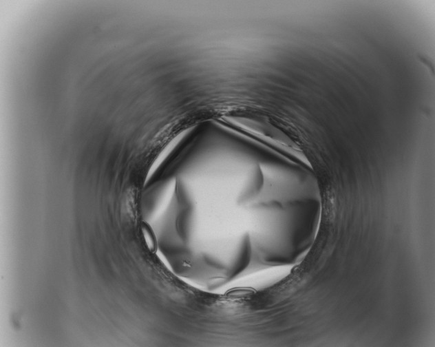 X0000100210280200806201451