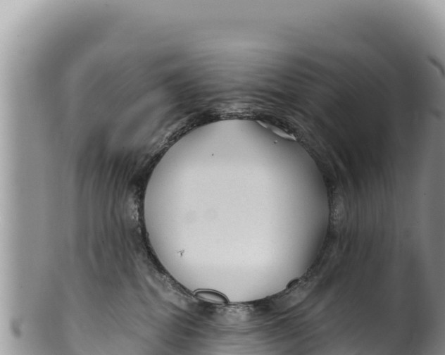 X0000100210282200806201451