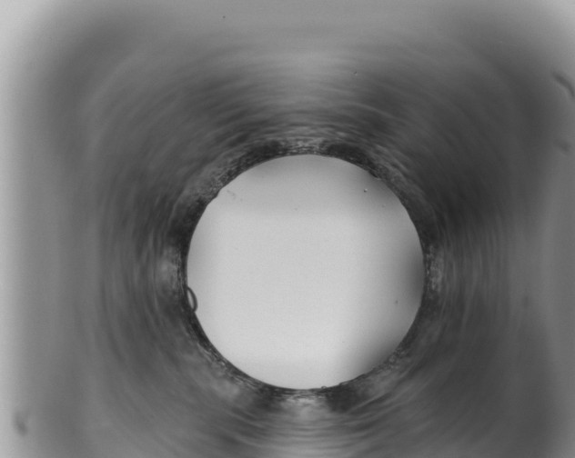 X0000100210283200806201451