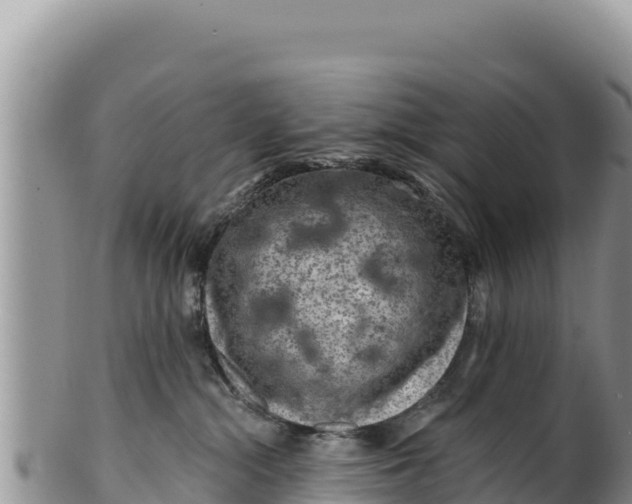 X0000100210284200806201451