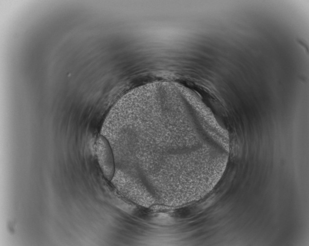 X0000100210285200806201451