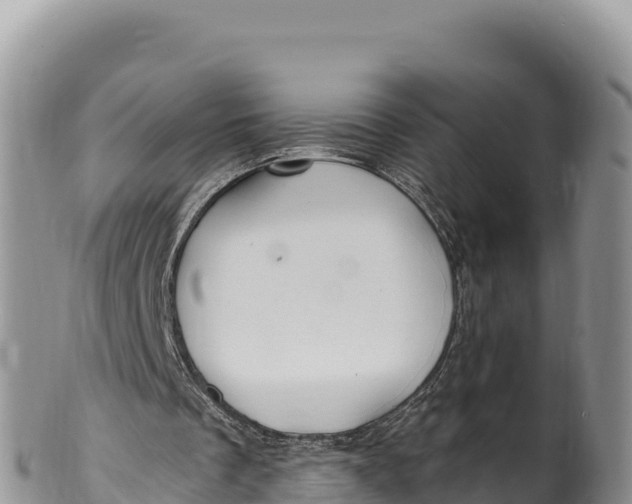 X0000100210289200806201451