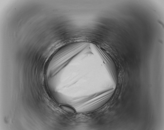 X0000100210290200806201451
