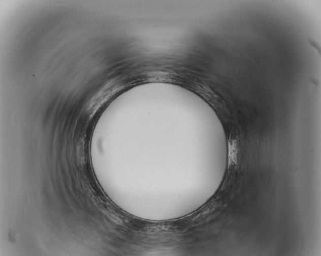 X0000100210291200806201451