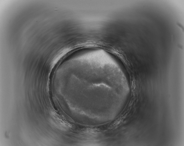 X0000100210292200806201451