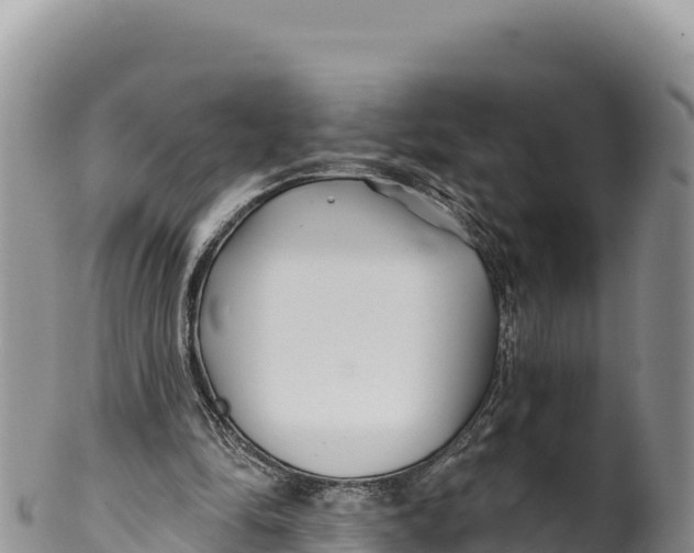 X0000100210294200806201451