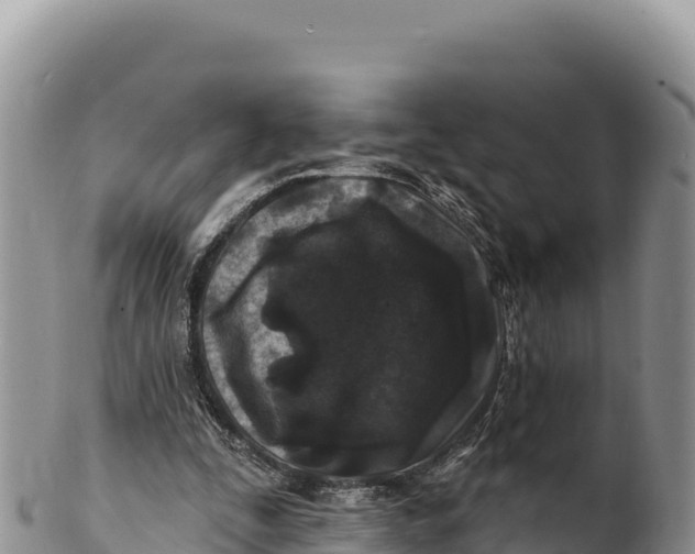X0000100210295200806201451