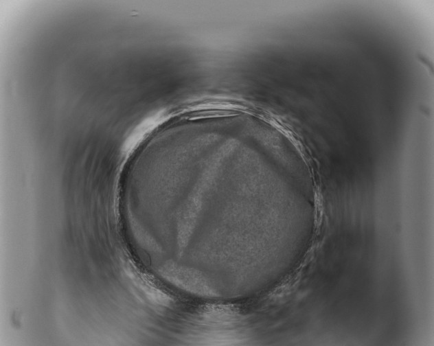 X0000100210296200806201451