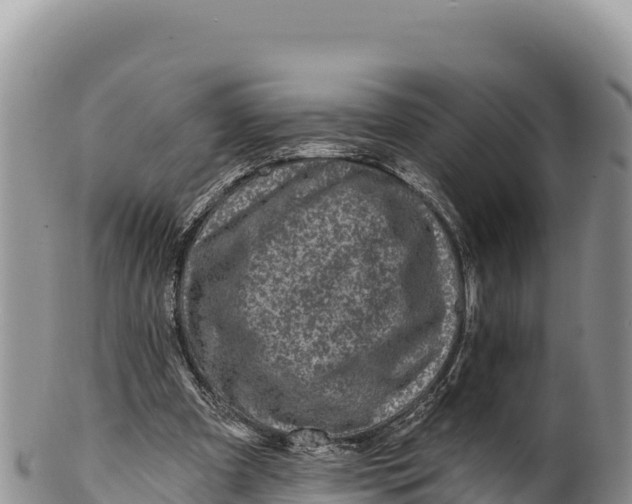 X0000100210297200806201451