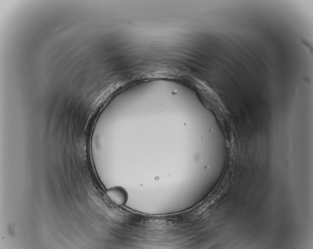 X0000100210298200806201451