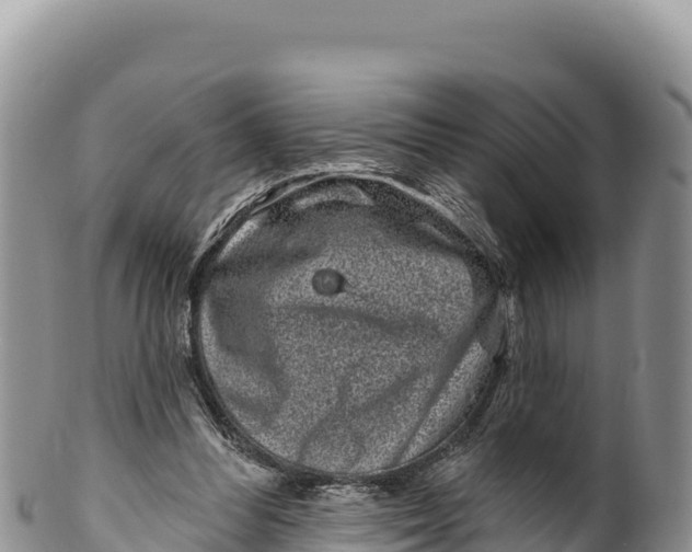 X0000100210300200806201451