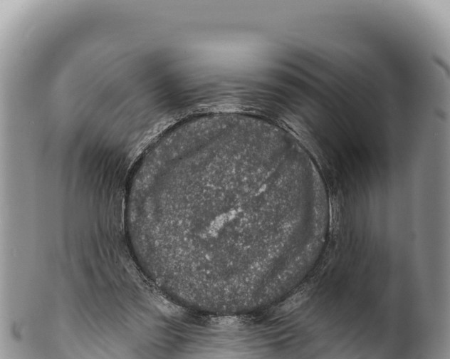 X0000100210301200806201451