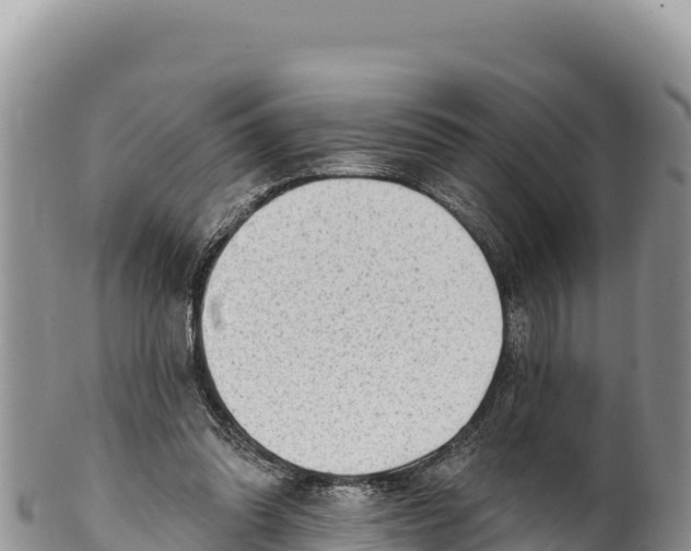 X0000100210302200806201451